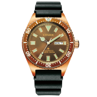 Citizen Promaster NY0125-08W "Root Beer" — view 2